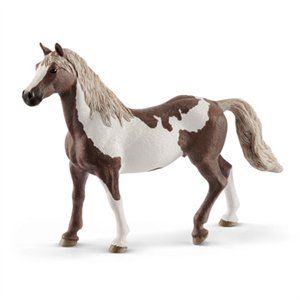 255180 Paint Horse Gelding, Brown & White