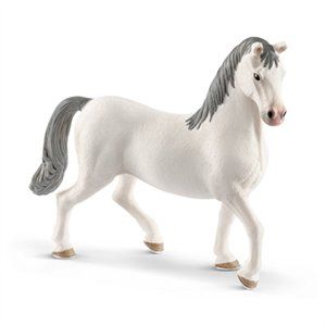 255182 Lipizzaner Stallion, White