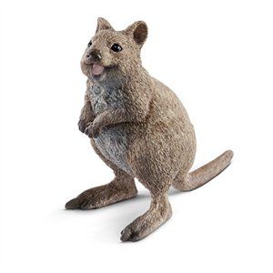 255188 Hand Painted Quokka, Brown