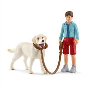 255202 Walking With Labrador, Assorted Color