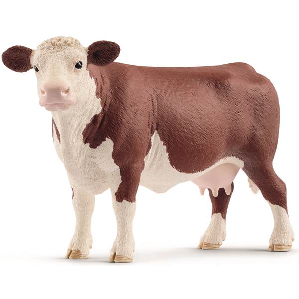 255177 Hereford Cow, Brown & White