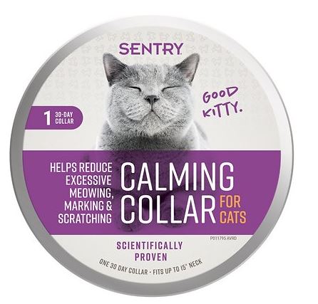 263543 Cat Calming Collar