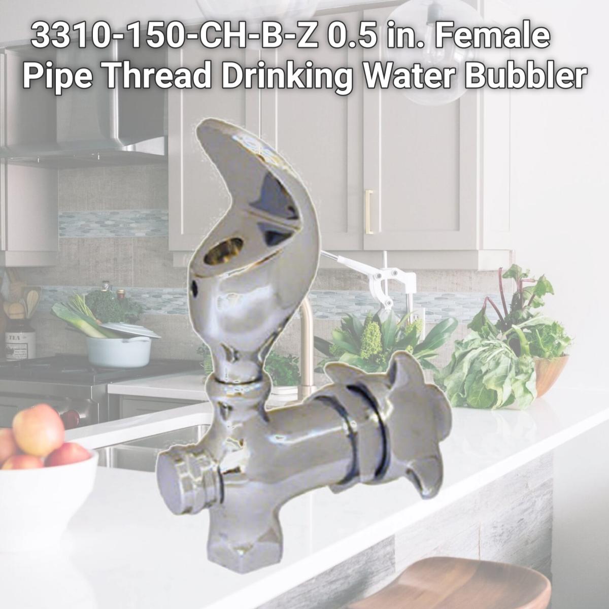 Picture of Homewerks 3310-150-CH-B-Z 0.5 in. Female Pipe Thread Drinking Water Bubbler