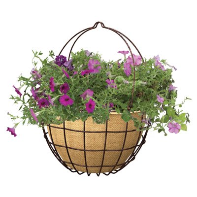 Products 213689 14 In. Rust Hang Basket