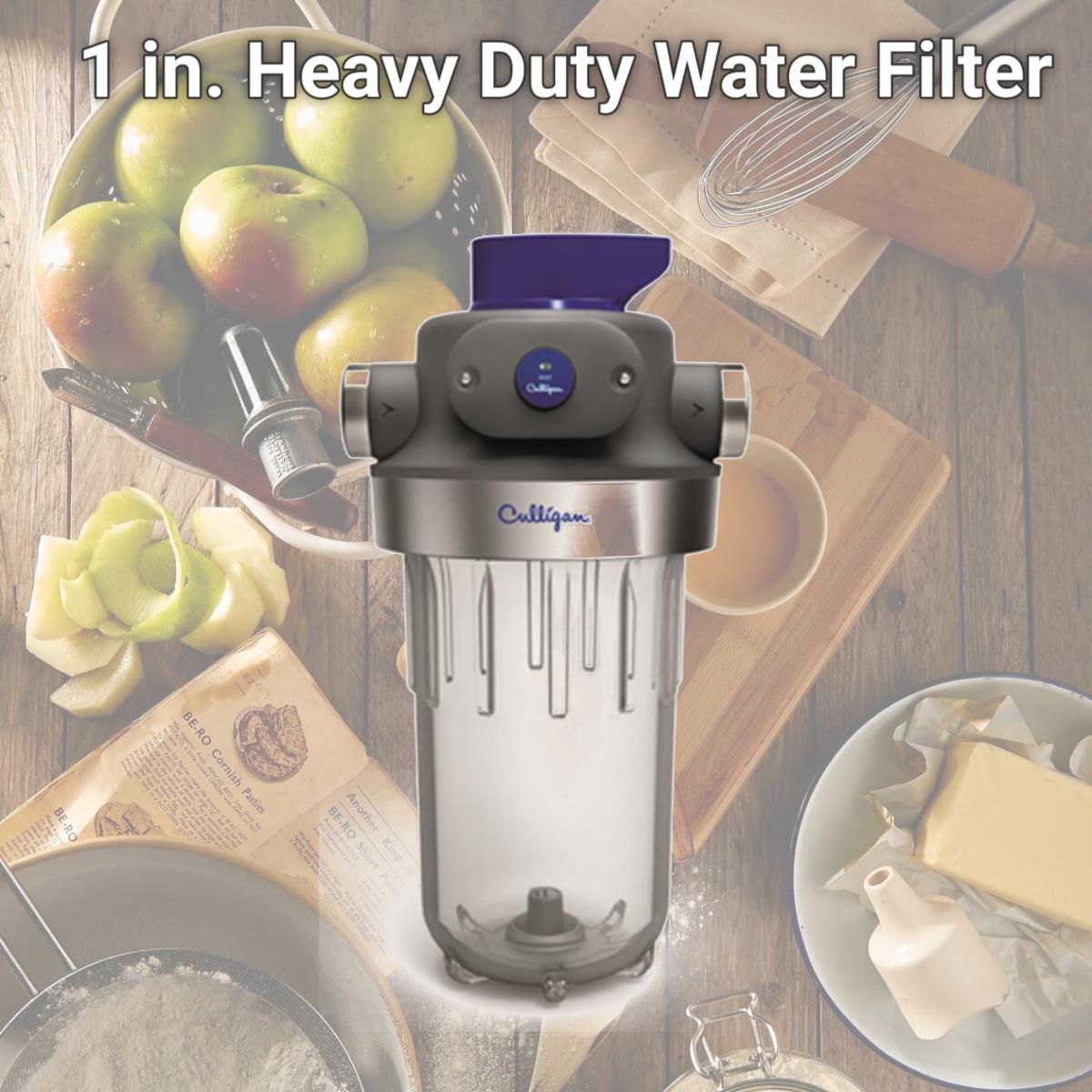 Picture of Culligan 216911 1 in. Heavy Duty Water Filter