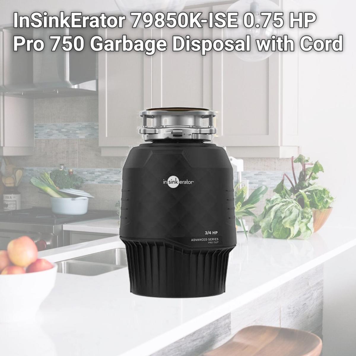 Picture of InSinkErator 79850K-ISE 0.75 HP Pro 750 Garbage Disposal with Cord