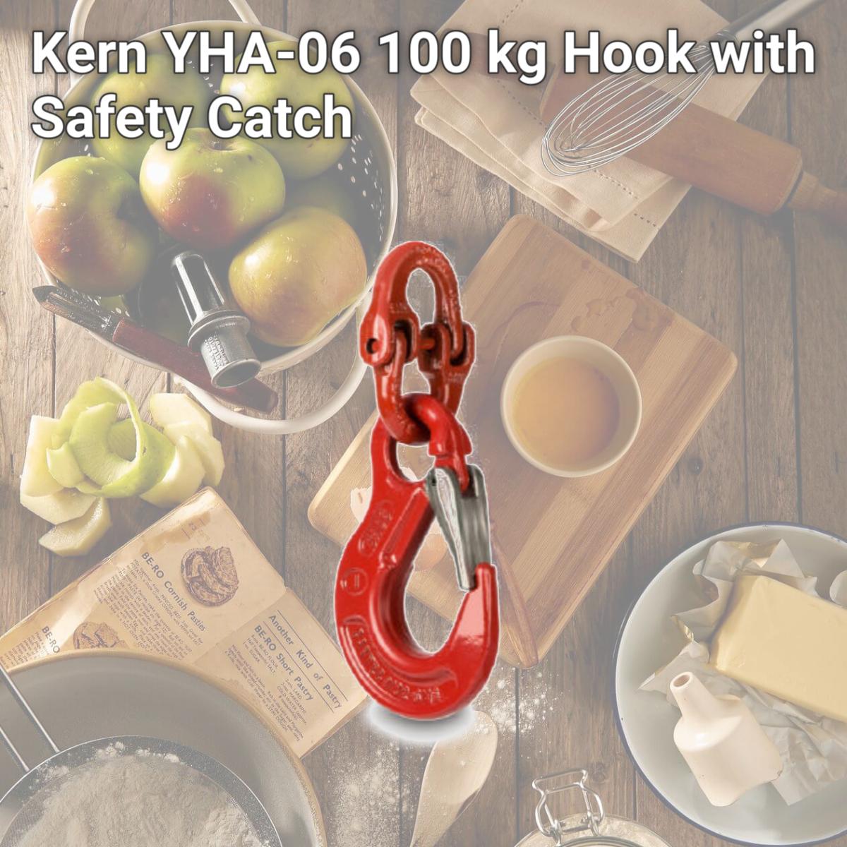 Picture of Kern YHA-06 100 kg Hook with Safety Catch