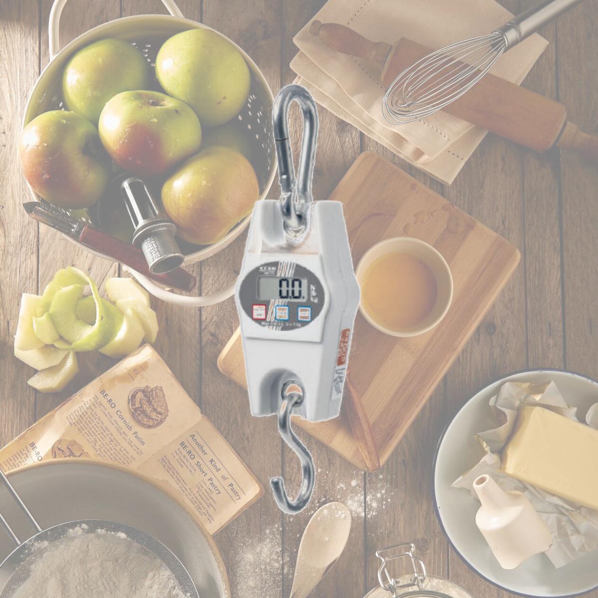 Picture of Kern HCB 50K100 50 kg Hanging Balance Max Scale