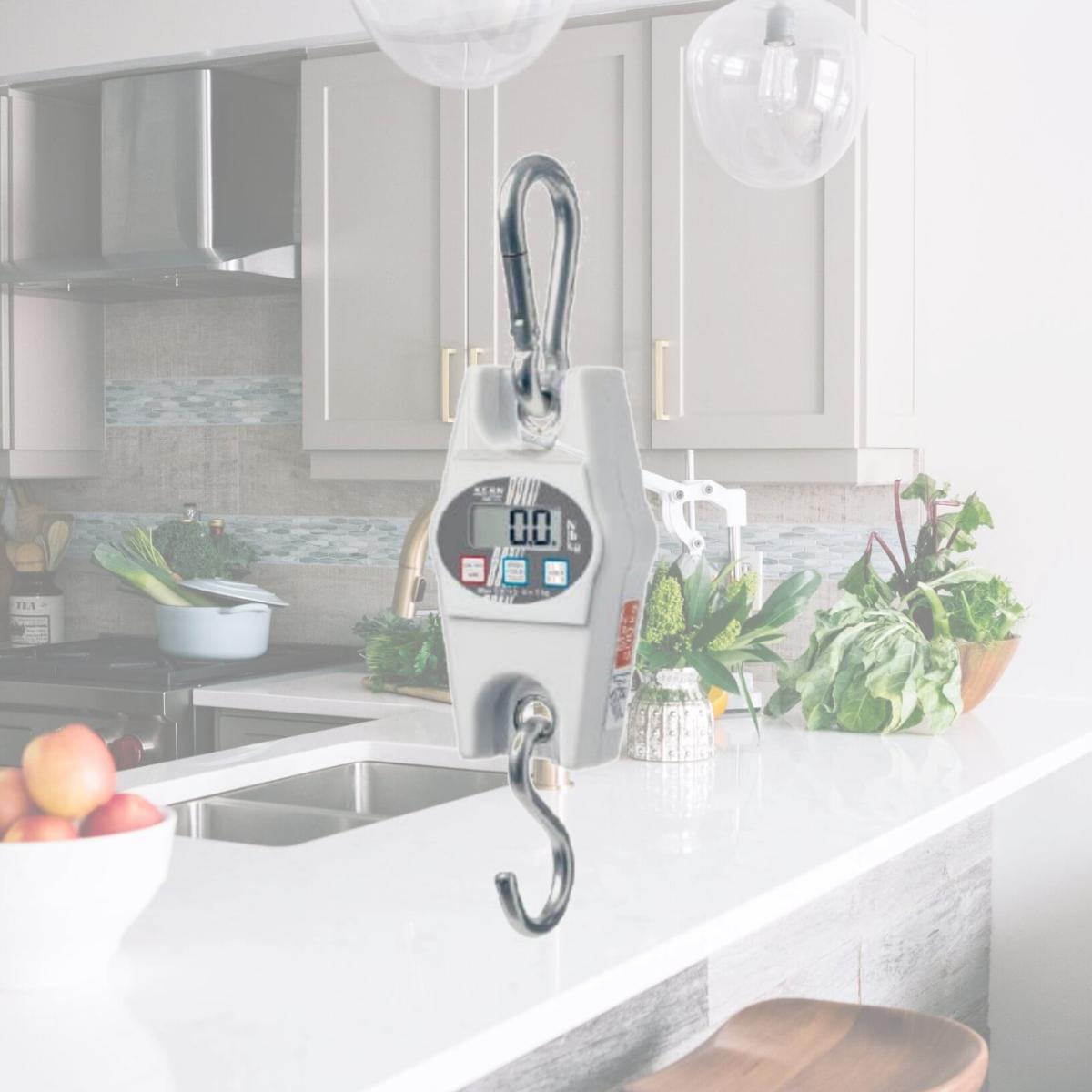 Picture of Kern HCB 50K20 50 kg Hanging Balance Max Scale