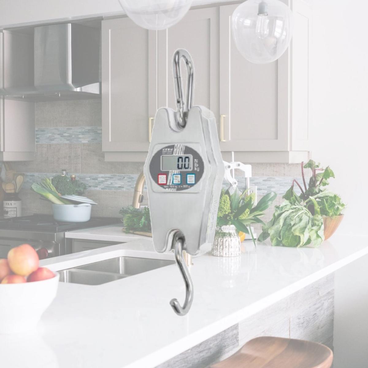 Picture of Kern HCN 200K500IP 200 kg Hanging Balance Max Scale