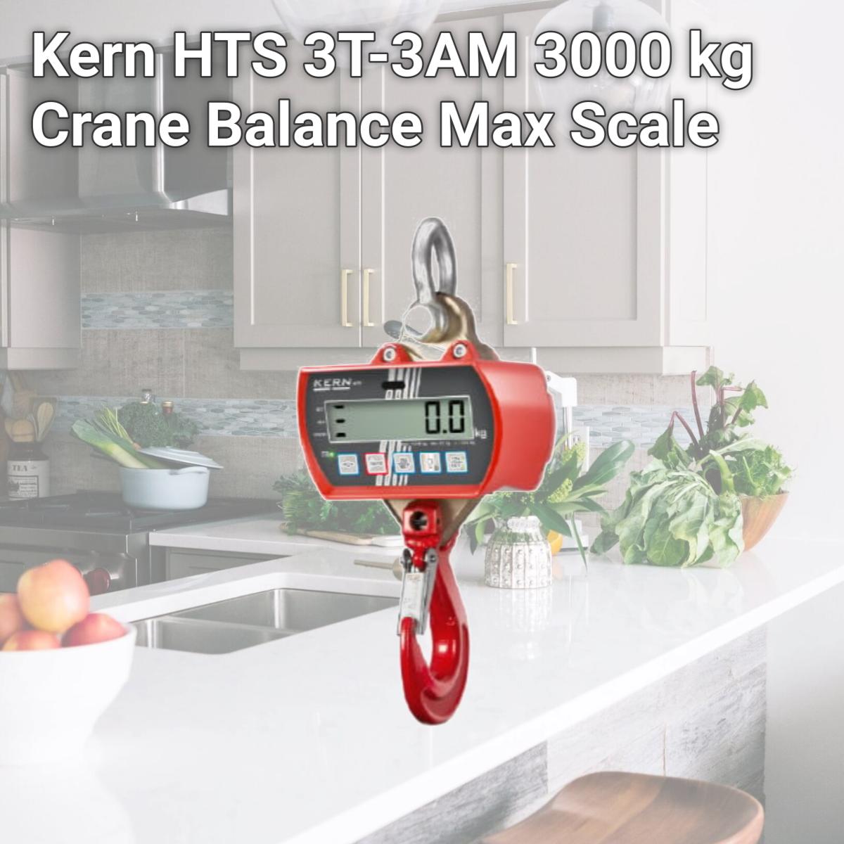 Picture of Kern HTS 3T-3AM 3000 kg Crane Balance Max Scale