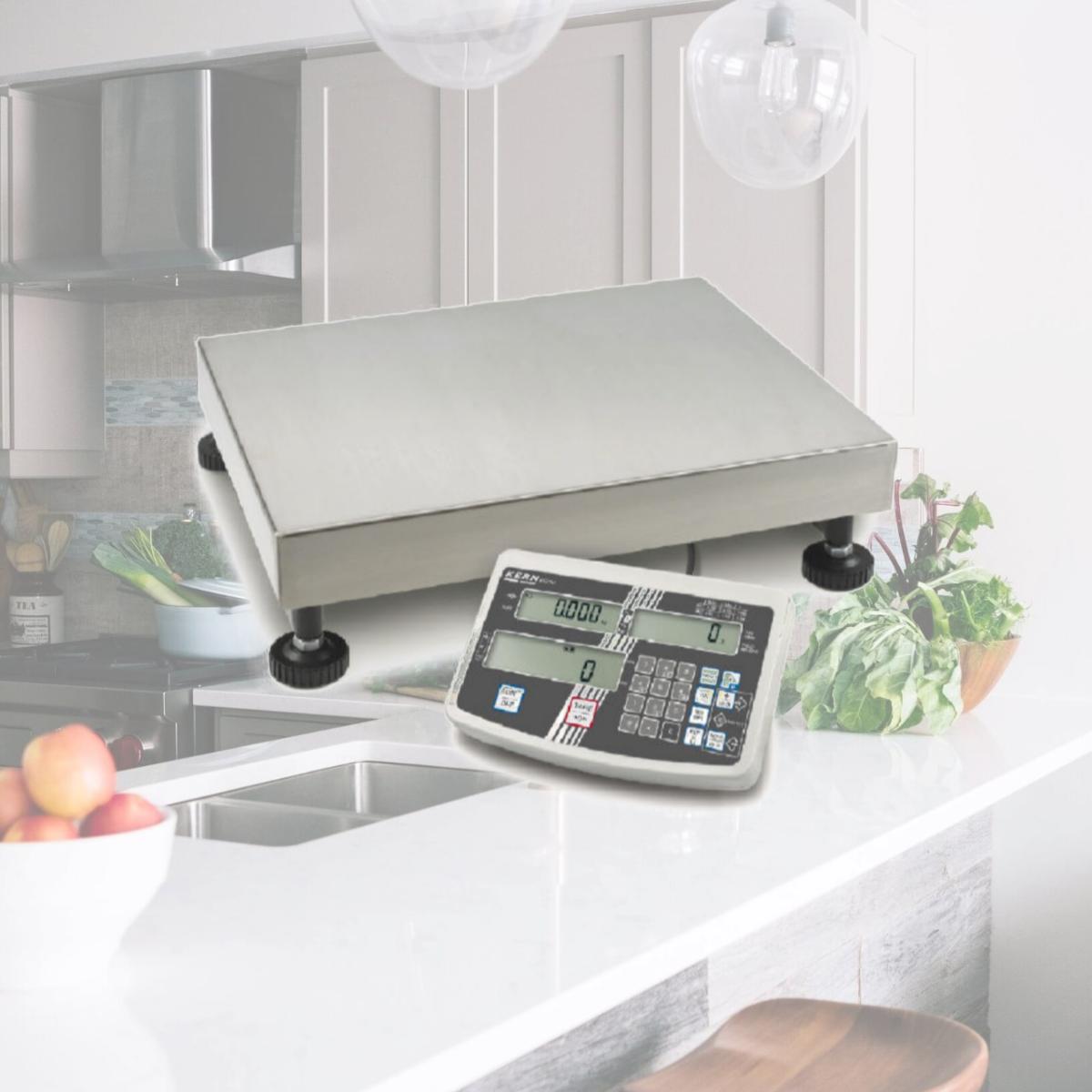 Picture of Kern IFS 60K-2M 10-20 g Platform Scale