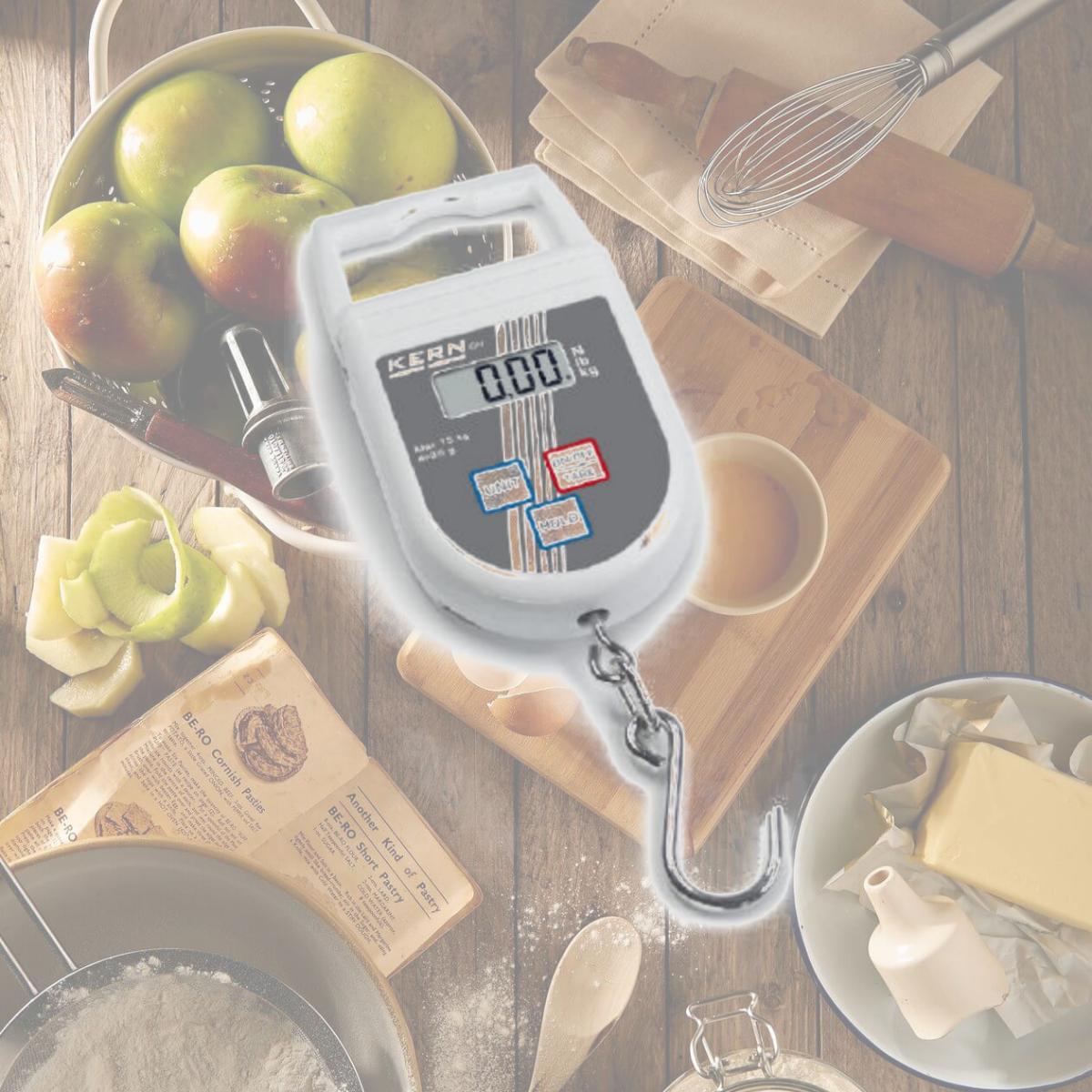Picture of Kern CH 50K50 50 kg Hanging Balance Max Scale