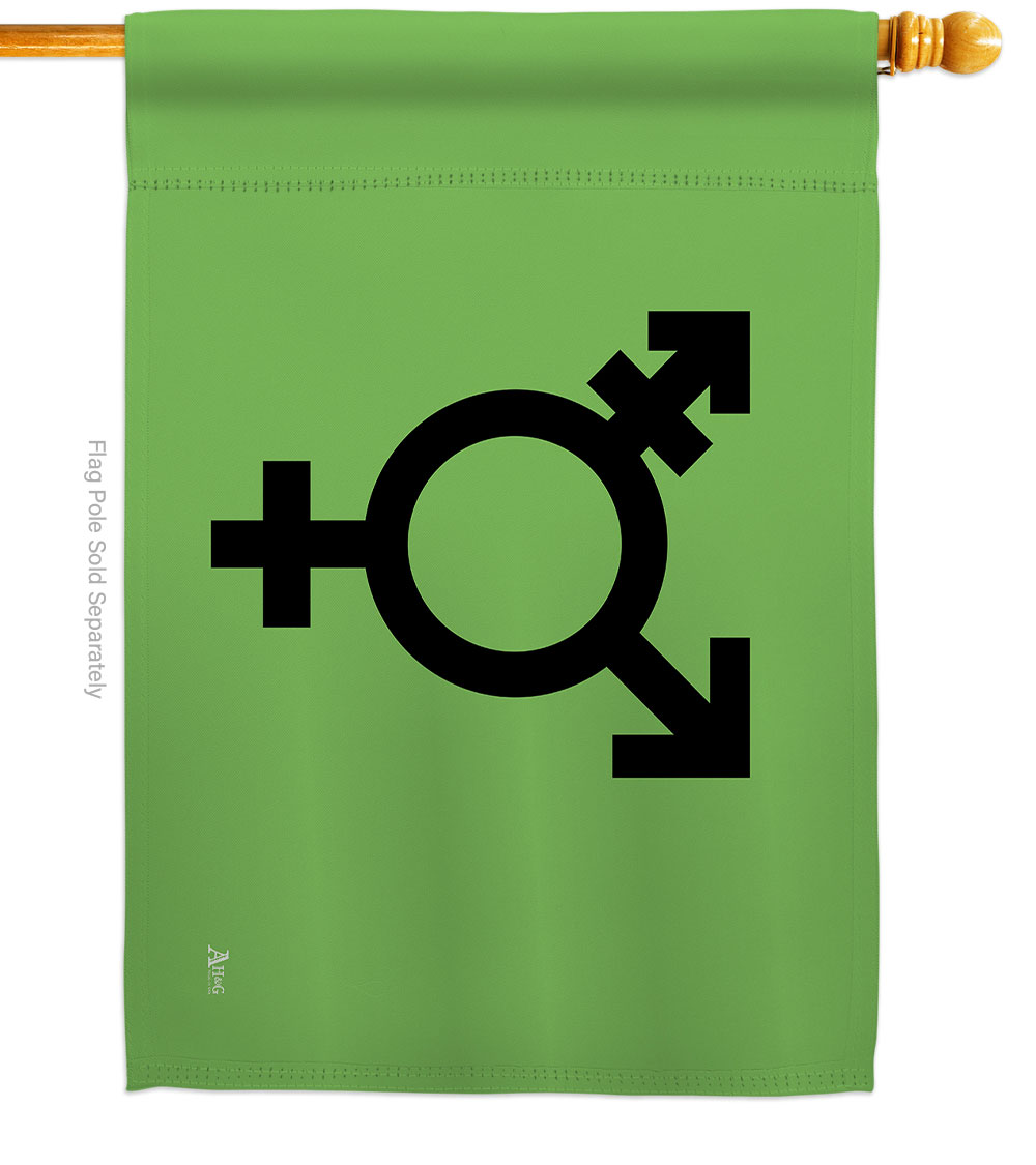 Israeli transgender & genderqueer Support Pride 28 x 40 in. Double-Sided Decorative Horizontal House Flags for Decoration Banner Garden Yard Gift