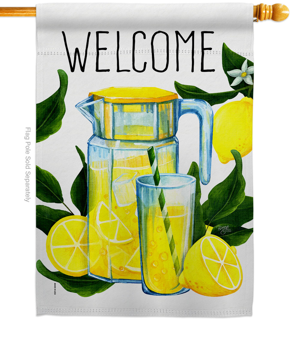 H117080-BO Refreshing Lemonade Food Fruit 28 x 40 in. Double-Sided Decorative Vertical House Flags for Decoration Banner Garden Yard Gift