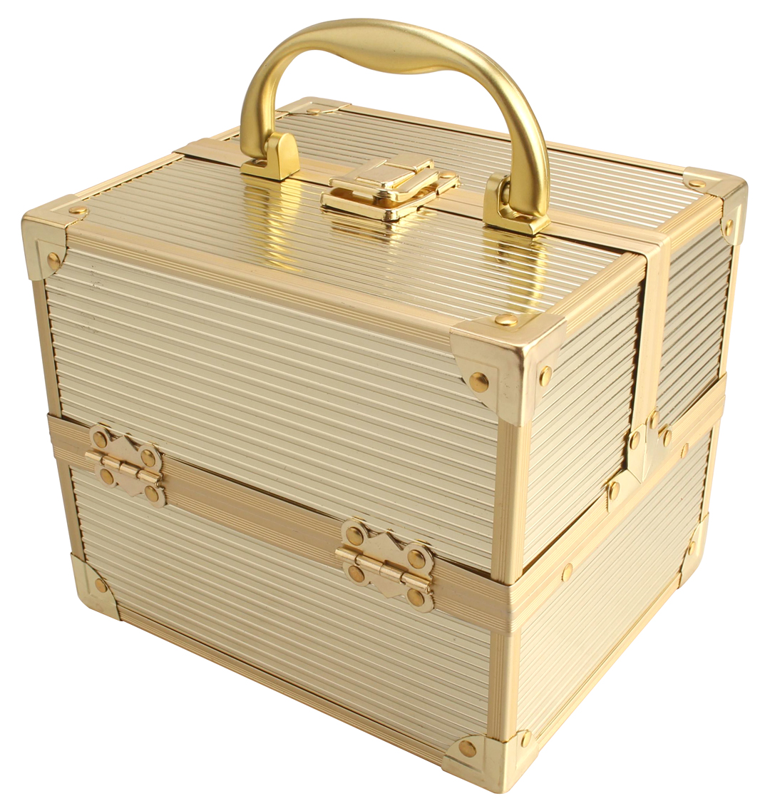 Ab-14 Ggs Compact Makeup Case, Gold Stripe