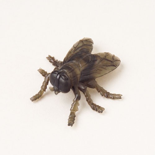 Hot, Cold and Aromatherapy Animals