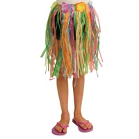 Child Hula Skirt With Flowers - Multicolor