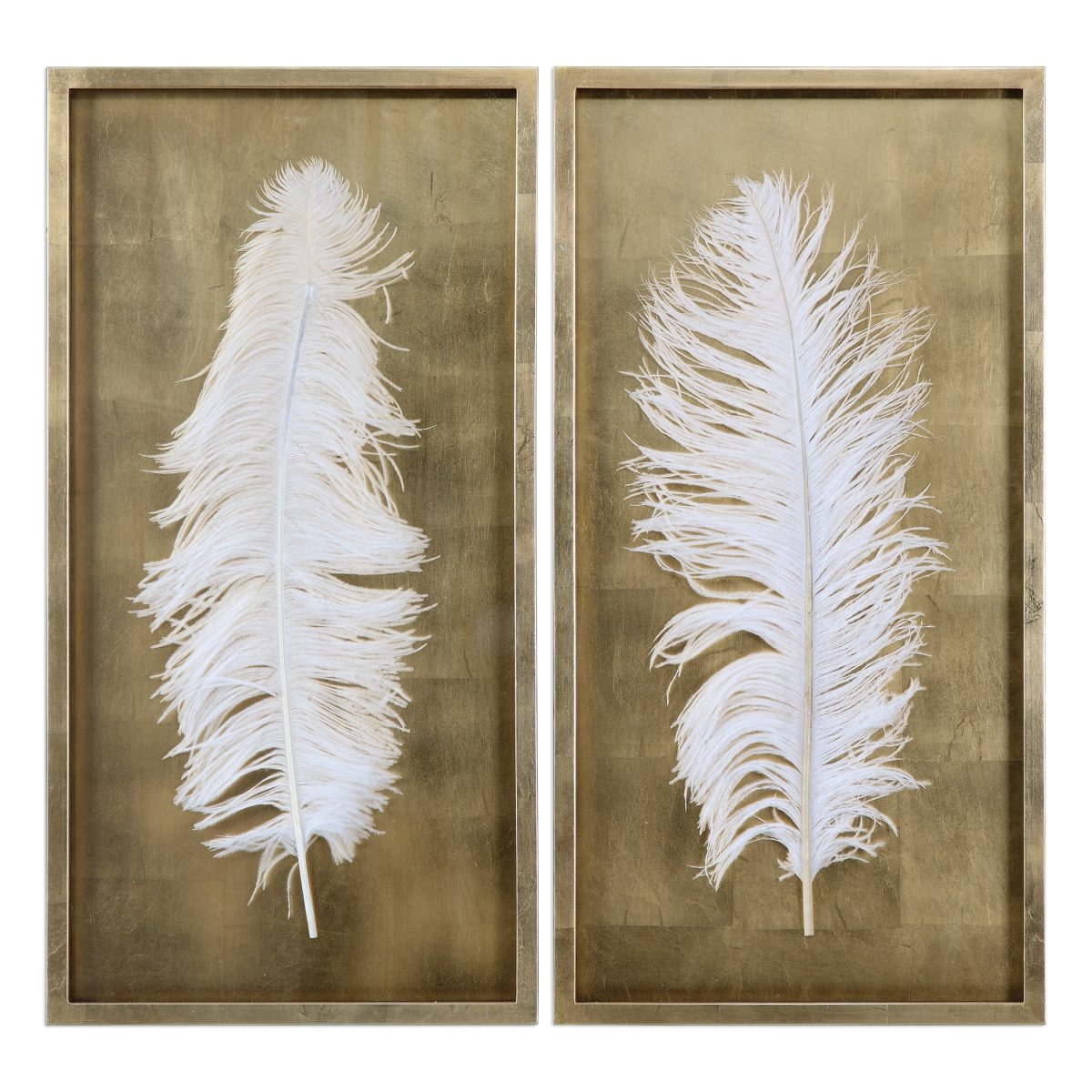 04057 White Feathers Gold Shadow Box, Set Of 2