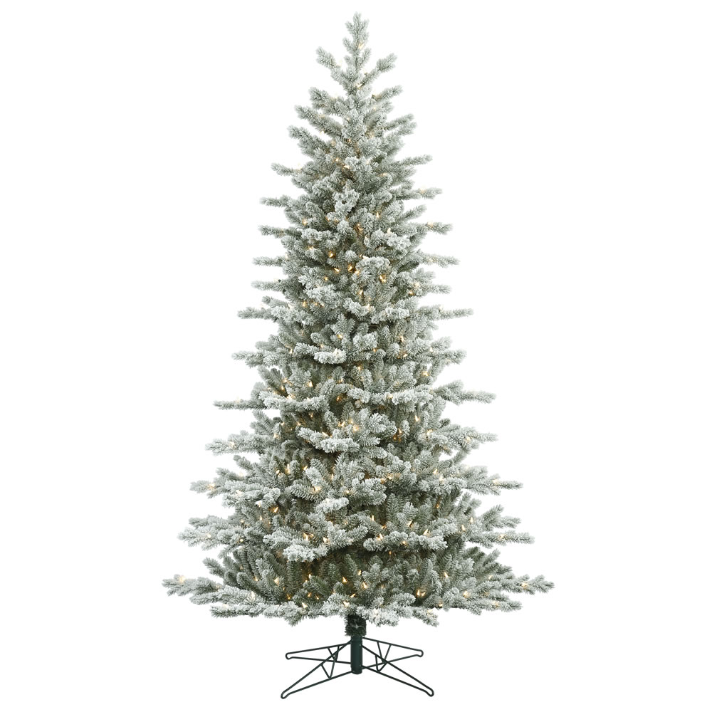 G160881 Frosted Eastern Frasier Dura-lit Christmas Tree With Clear Lights, 9 Ft. X 64 In.