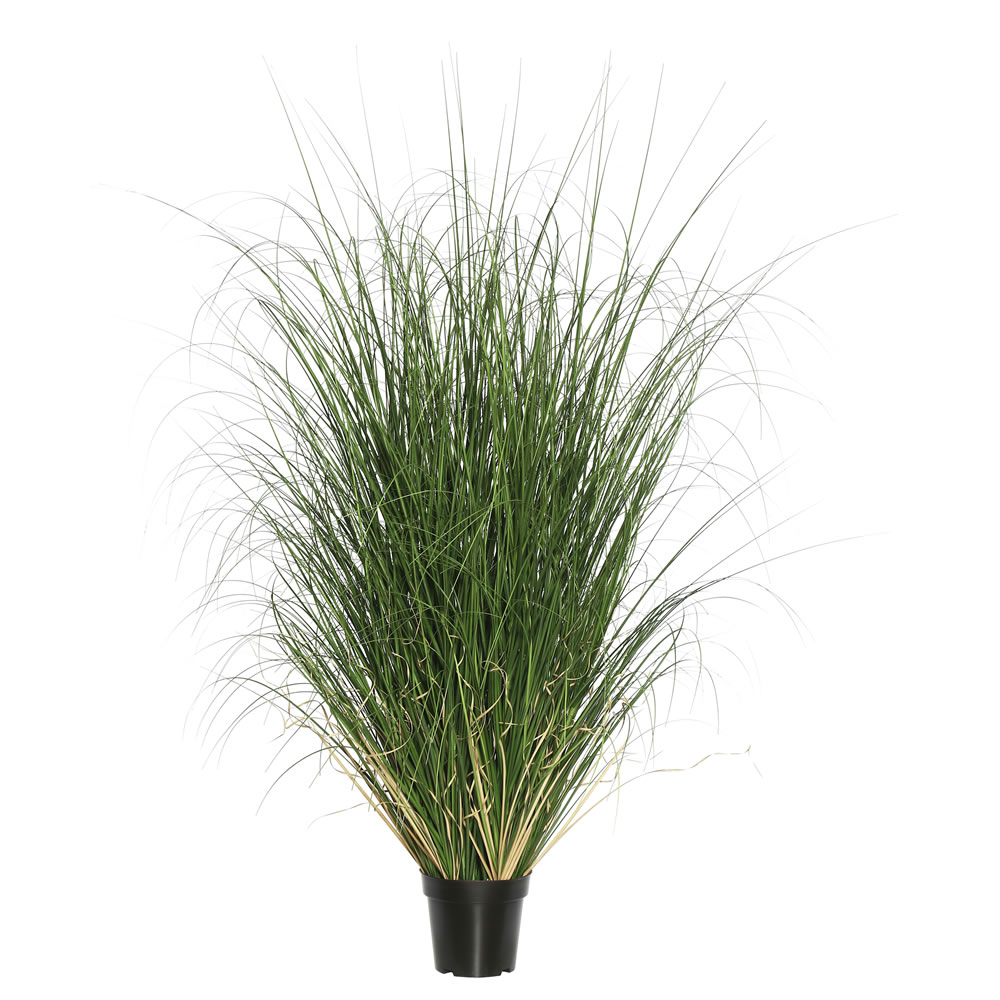 Tn170648 X952 Everyday Grass With Pot - 48 In.