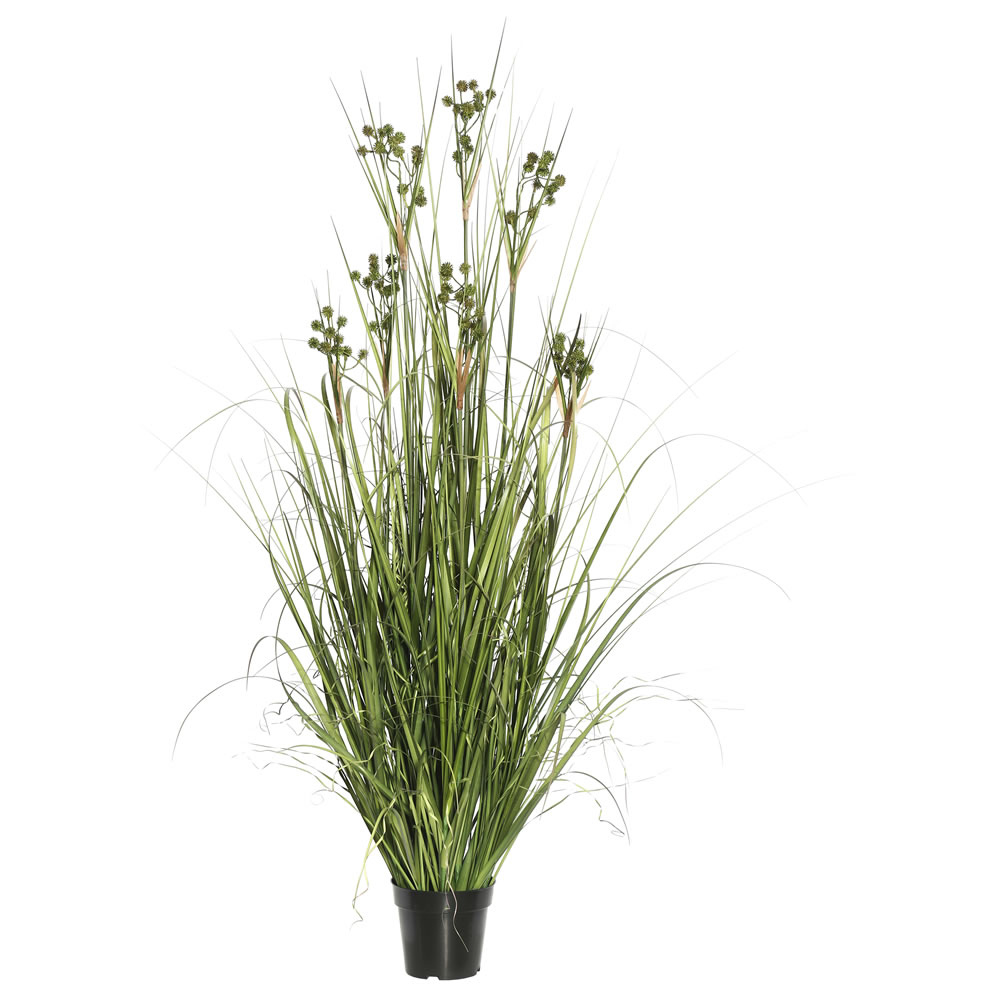60 In. Grass With Pomp Balls In Pot