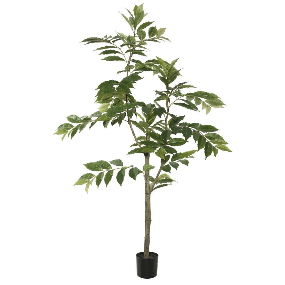 4 Ft. Potted Nandina Tree With 118 Leavess - Green