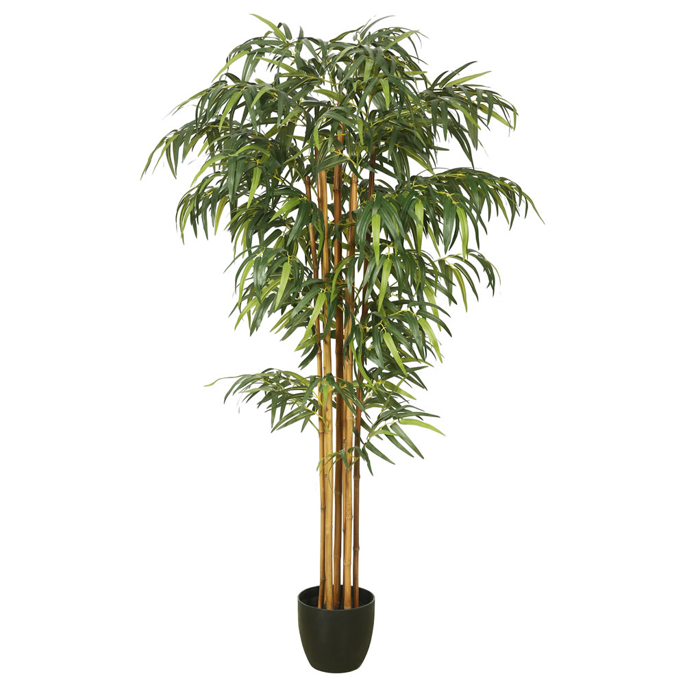 6 Ft. Bamboo With Pot - Green