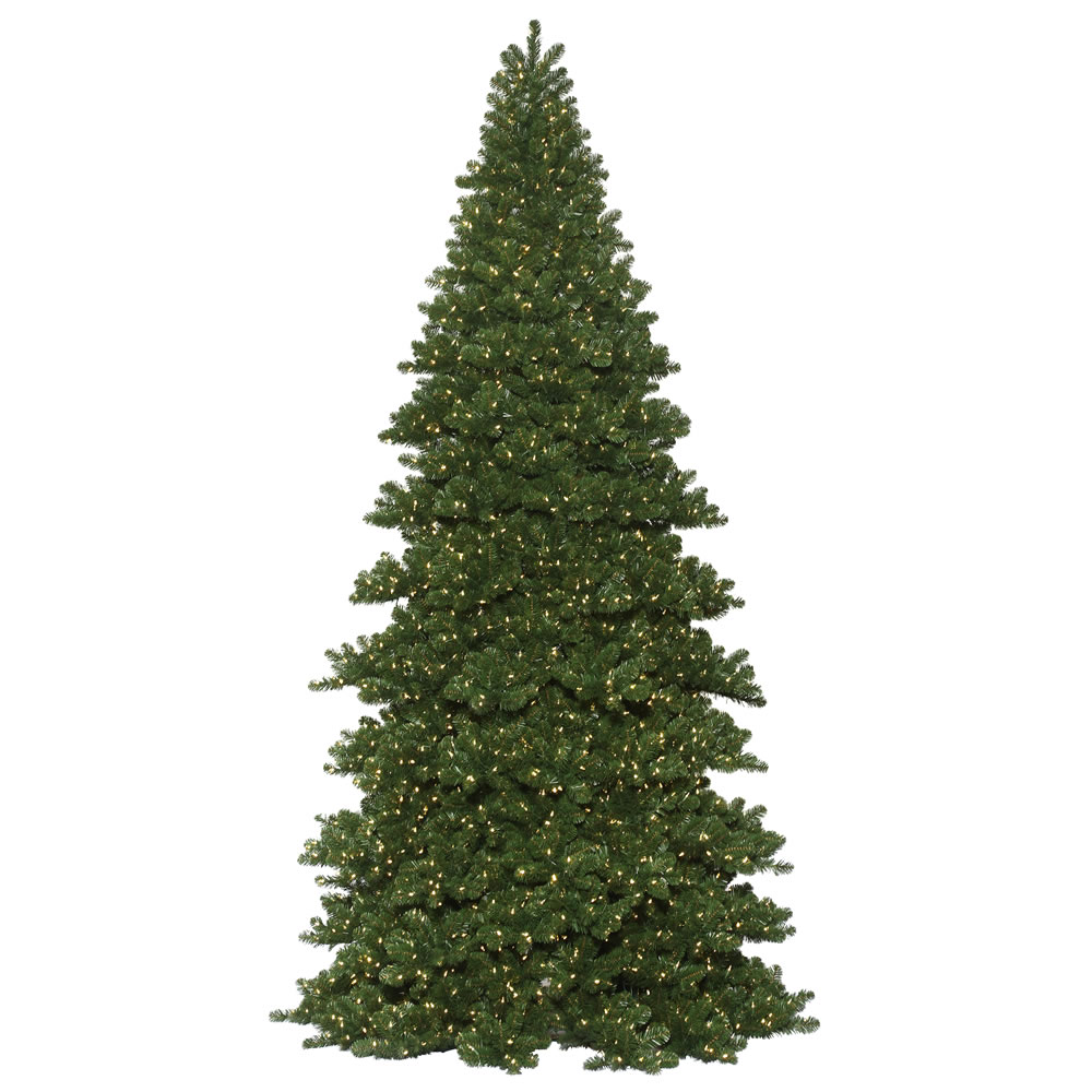 20 Ft. X 102 In. Green Oregon Frame Christmas Tree With 12000 Warm White Dura Light
