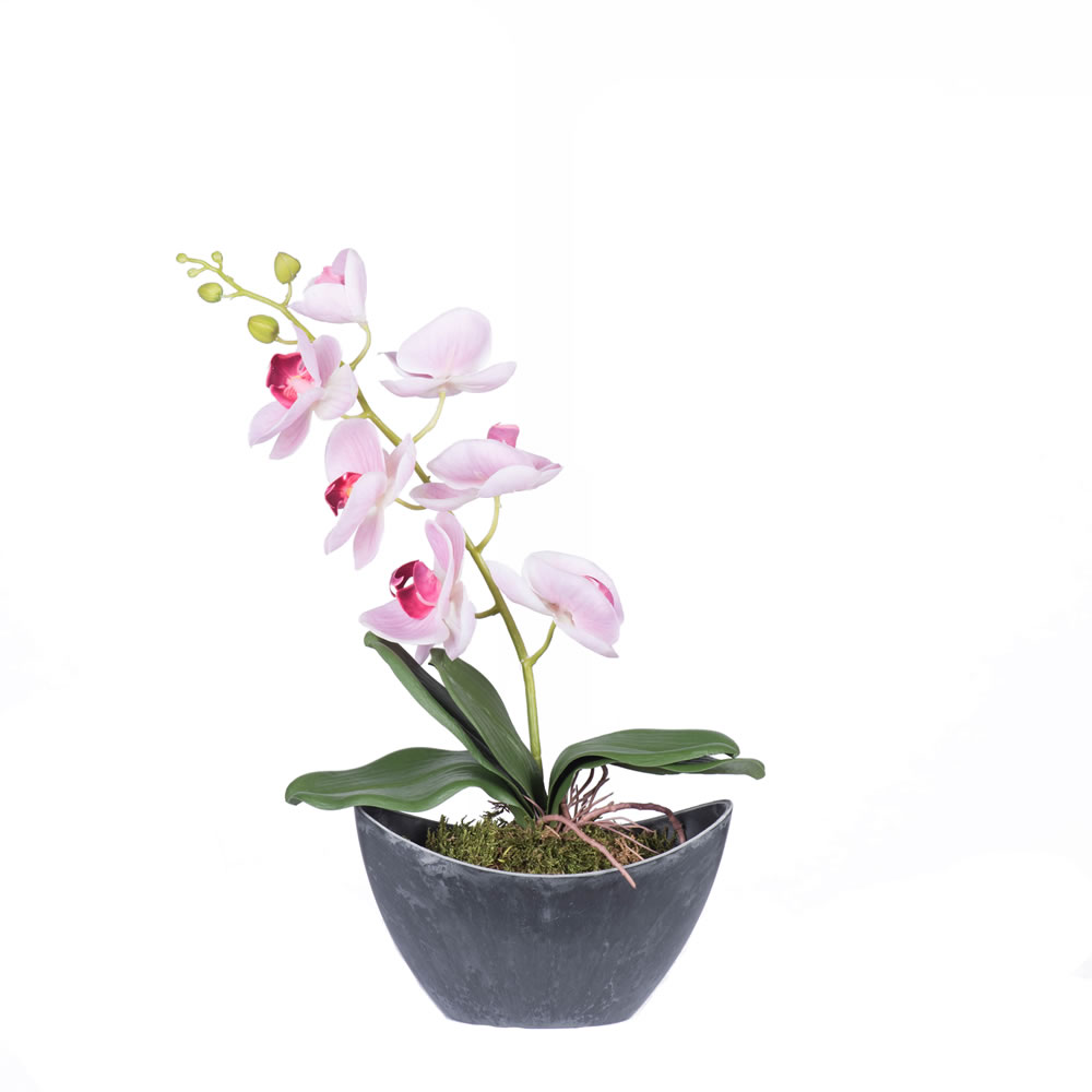 20.5 In. Pink Orchid In Oval Container