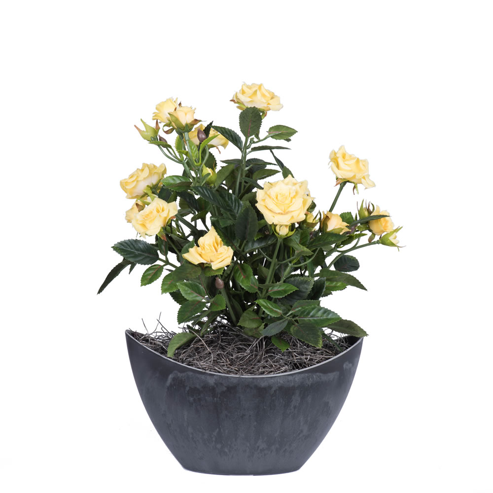F12227 13.5 In. Yellow Mini Rose In Oval Container