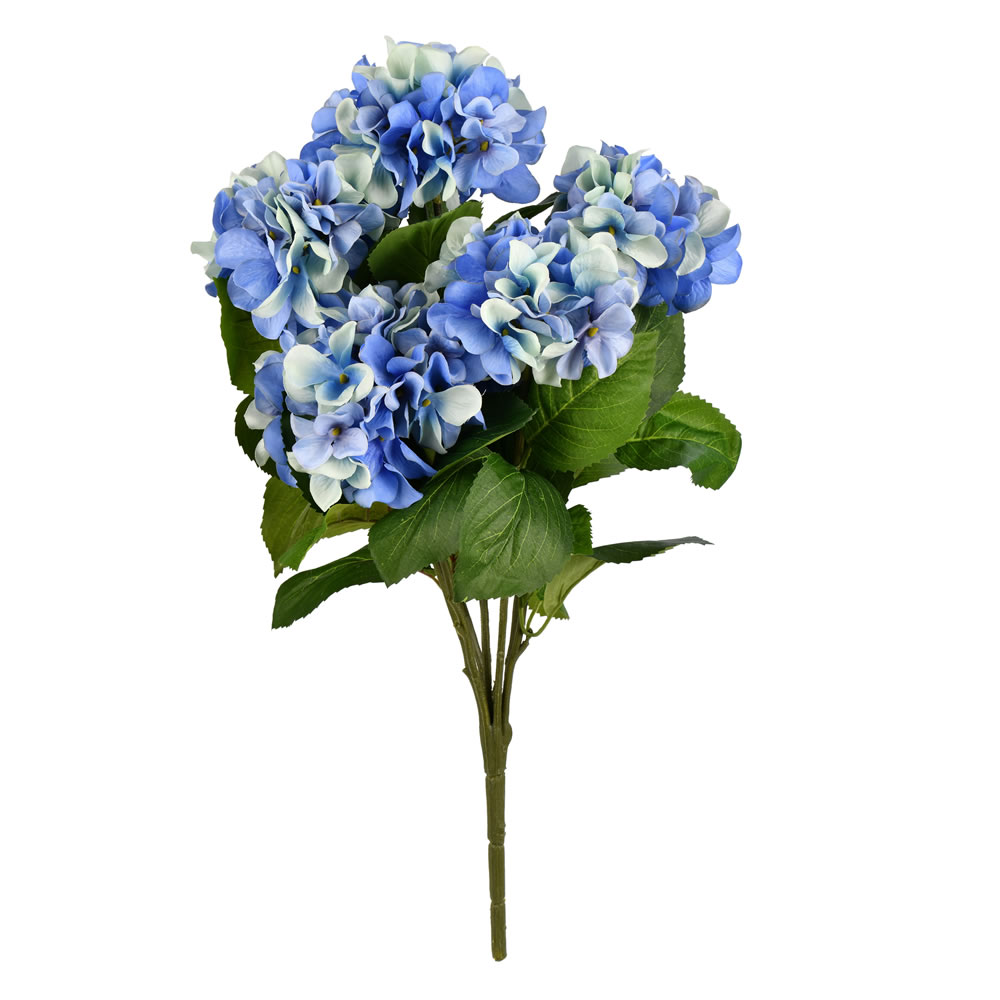 FR190202 21 in. Blue Hydrangea Bush