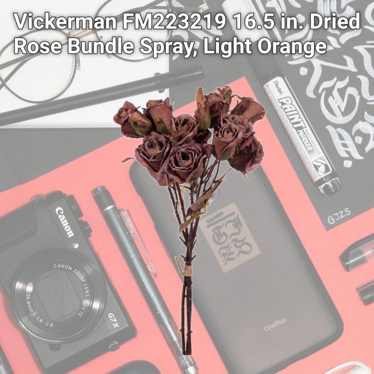 Picture of Vickerman FM223219 16.5 in. Dried Rose Bundle Spray, Light Orange