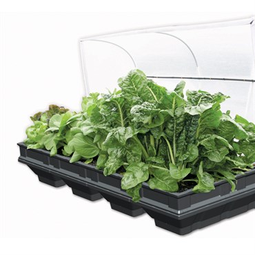 C0007 39 X 78 In. Self-watering Container Garden With Protective Mesh Cover