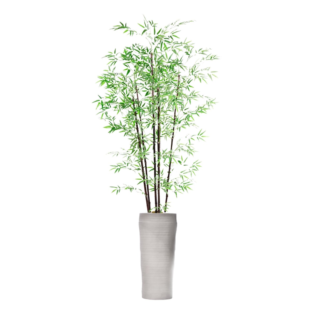 Vhx106218 93 In. Tall Bamboo Tree In Planter