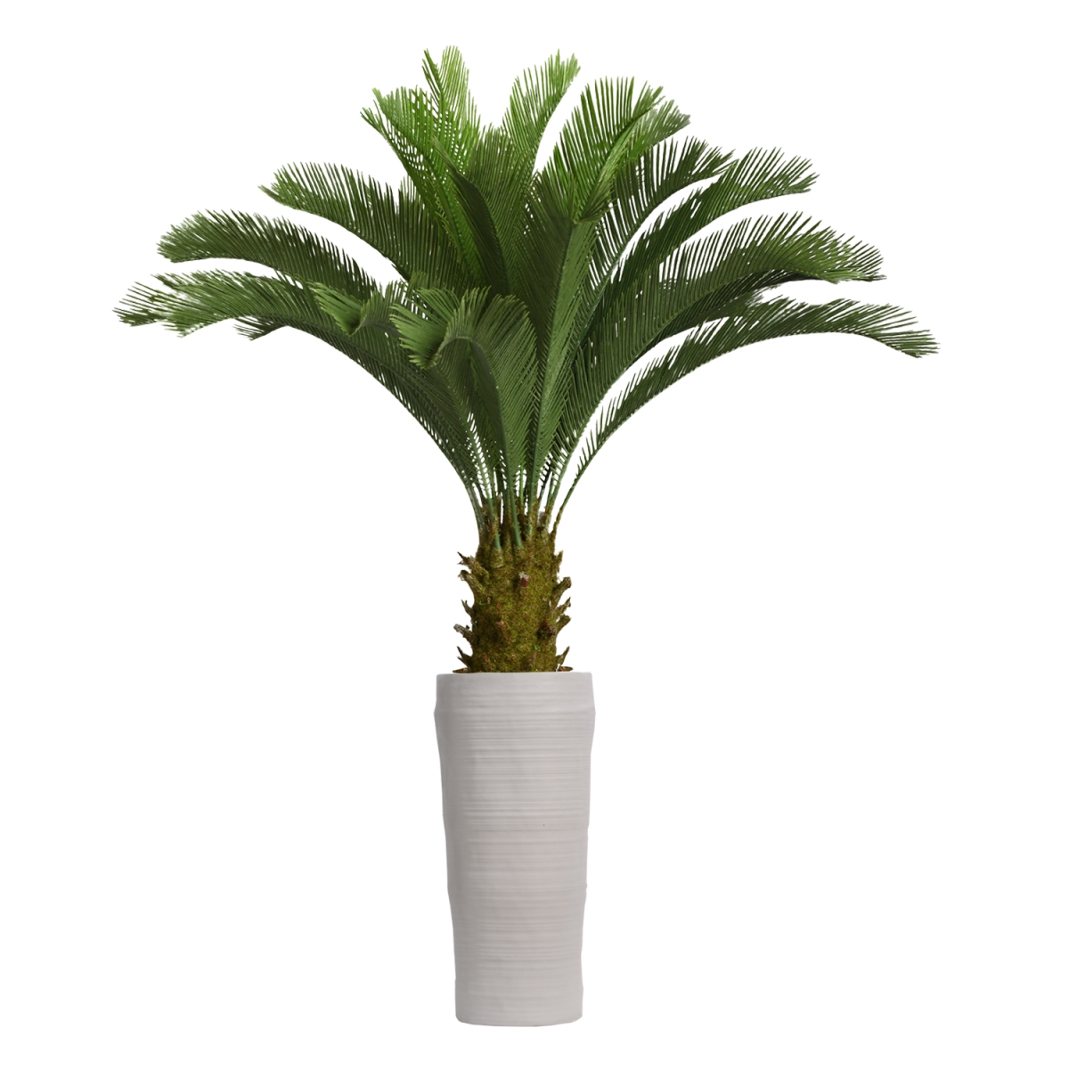 Vhx111218 69 In. Tall Cycas Palm Tree In Planter