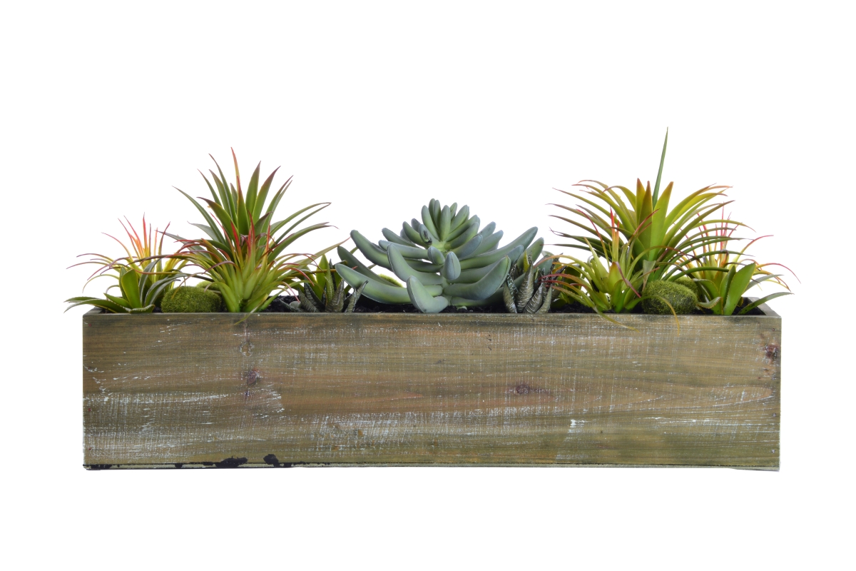 Vha102442 9 In. Tall Succulents In Wooden Pot