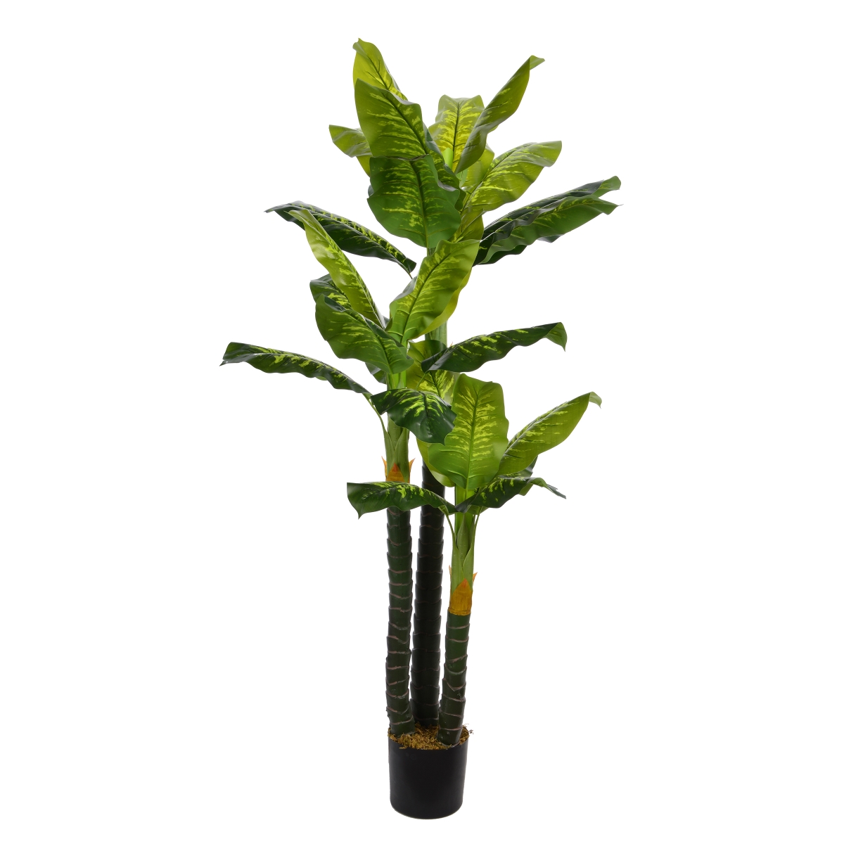 Vhx123 72 In. Tall Evergreen In Pot Real Touch