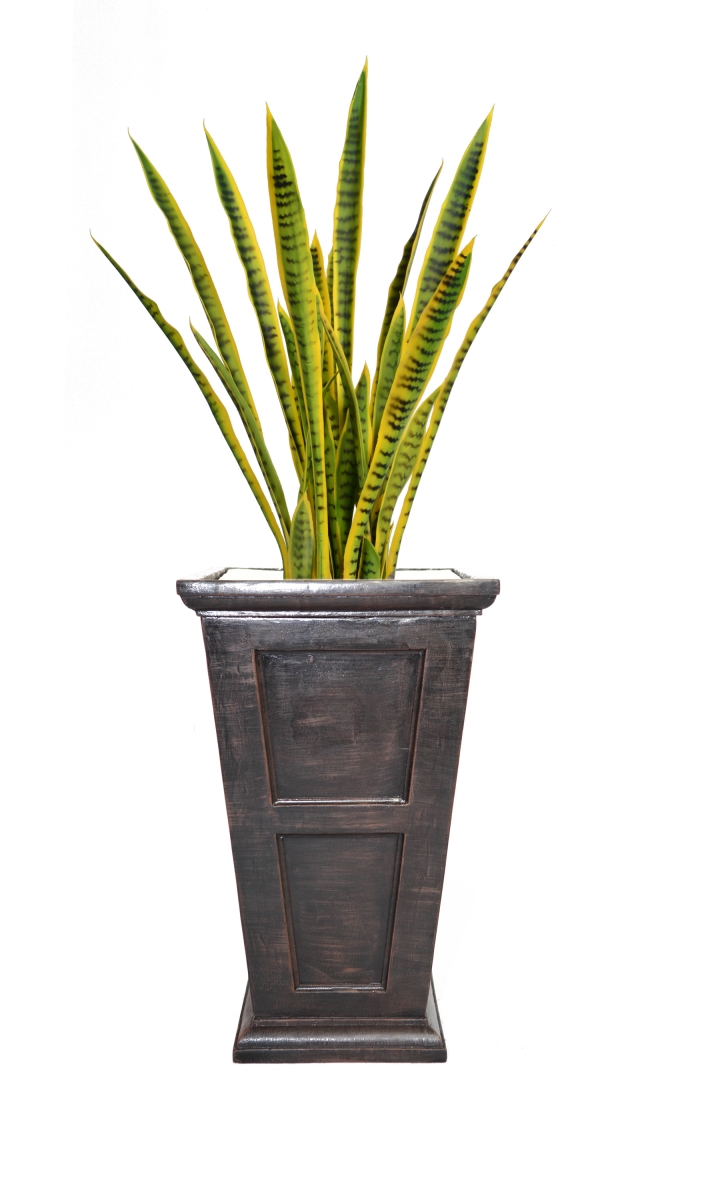 Vhx121201 54 In. Tall Snake Plant In Planter