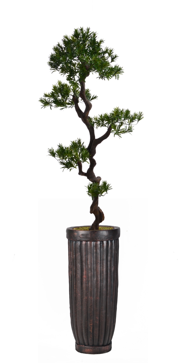 Vhx122214 69 In. Tall Yacca Tree In Planter