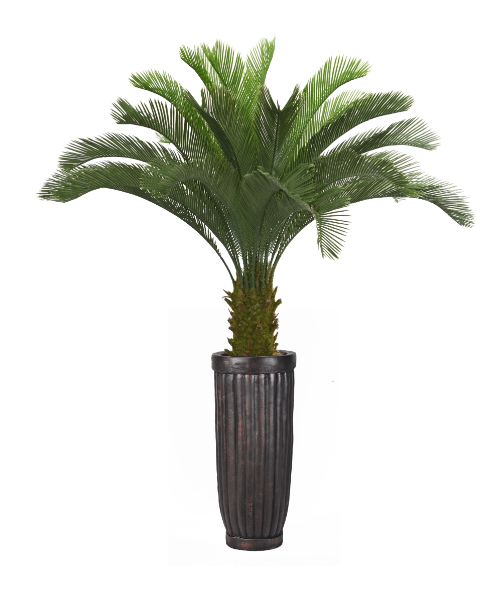 Vhx111214 69 In. Tall Cycas Palm Tree In Planter