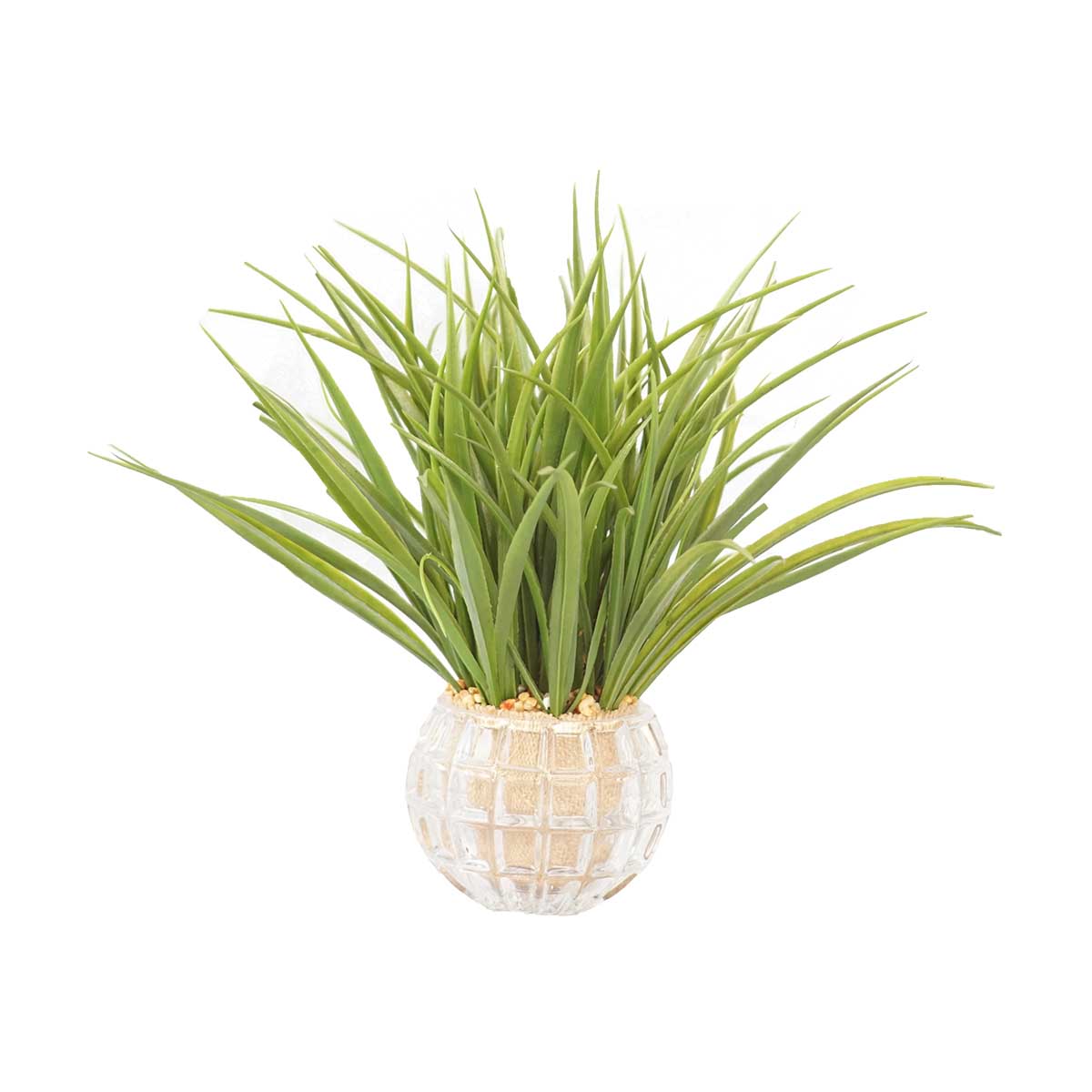 Vha102467 Plastic Grass In Glass Vases, Set Of 2