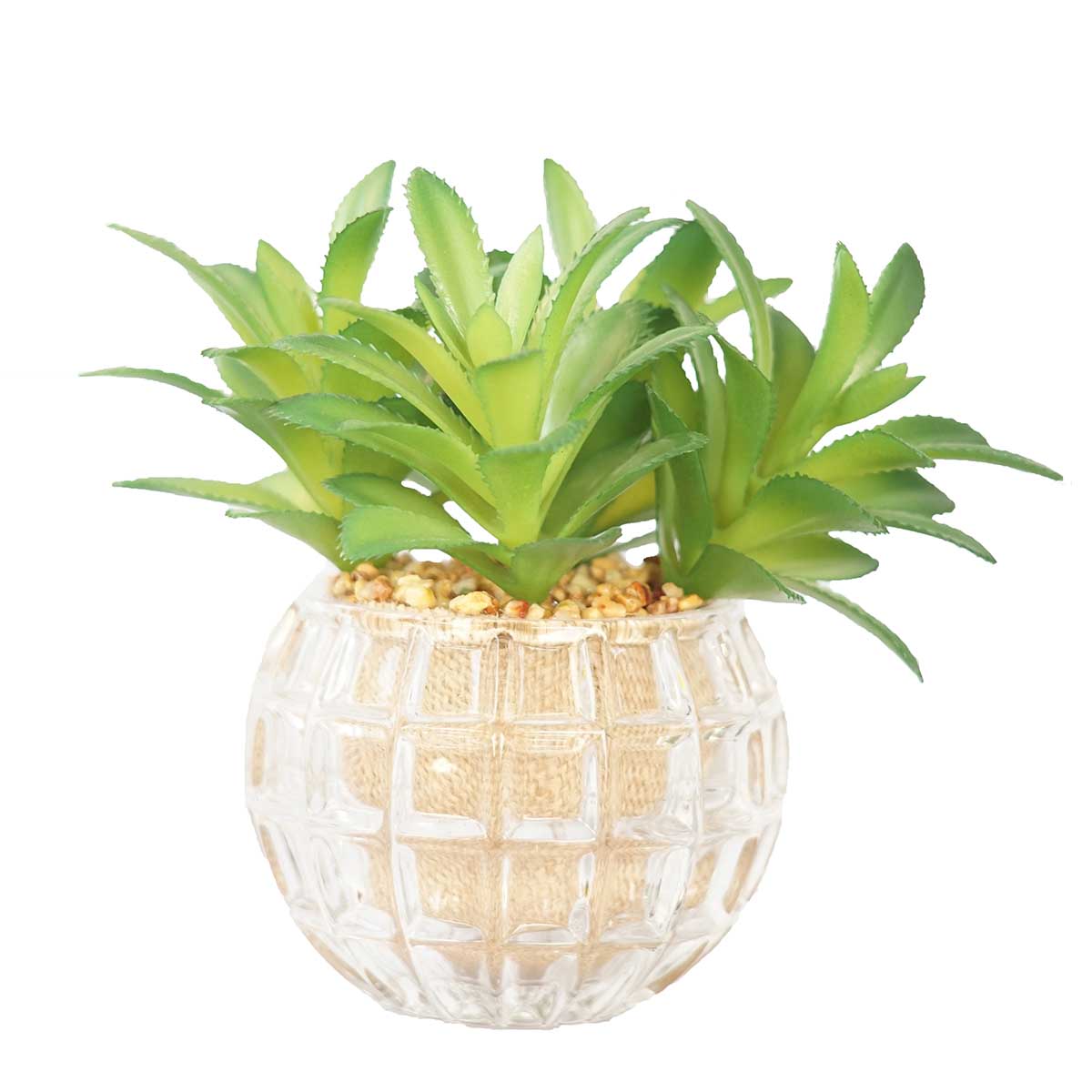 Vha102468 Succulents In Glass, Set Of 2
