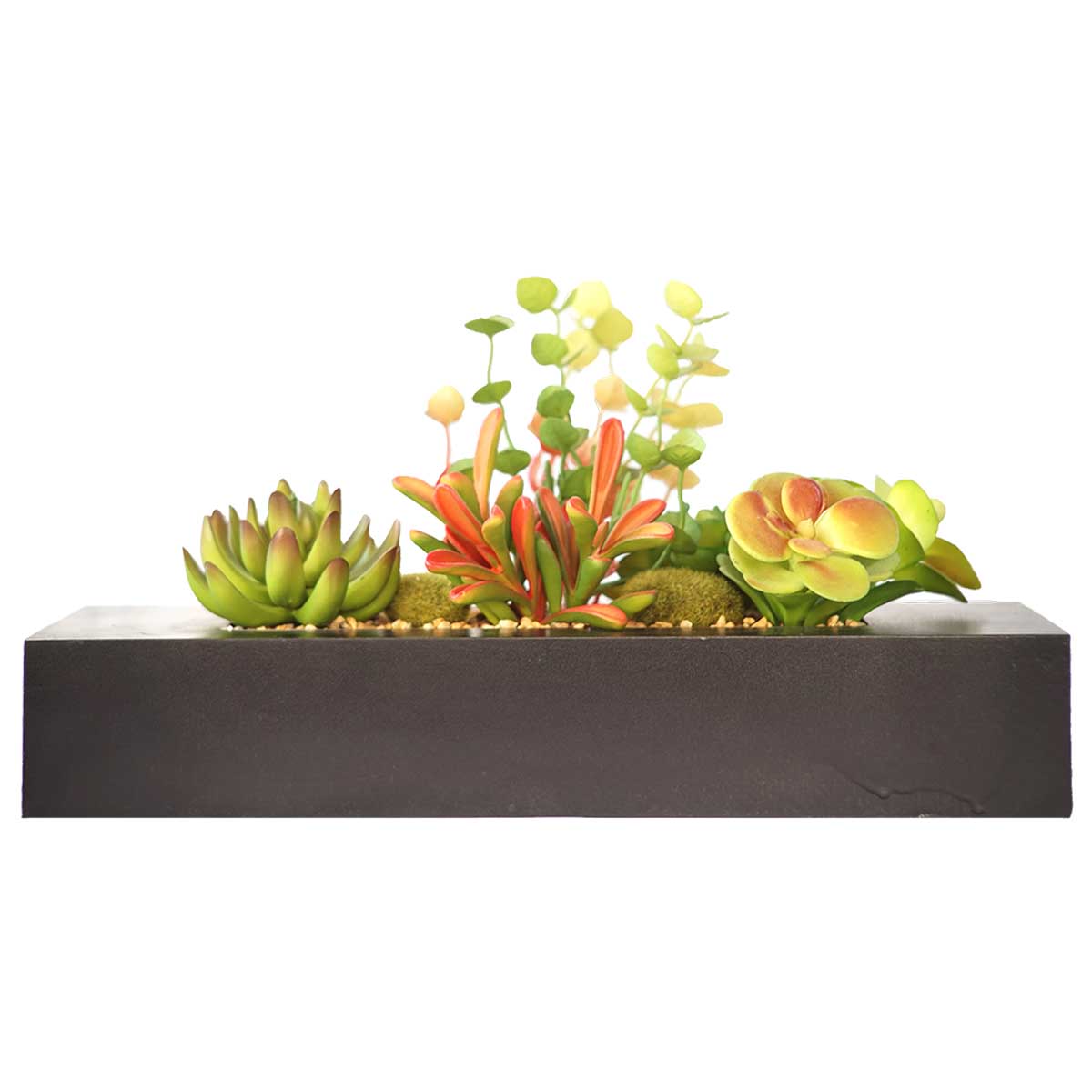Vha102474 Succulents In Wooden Planter