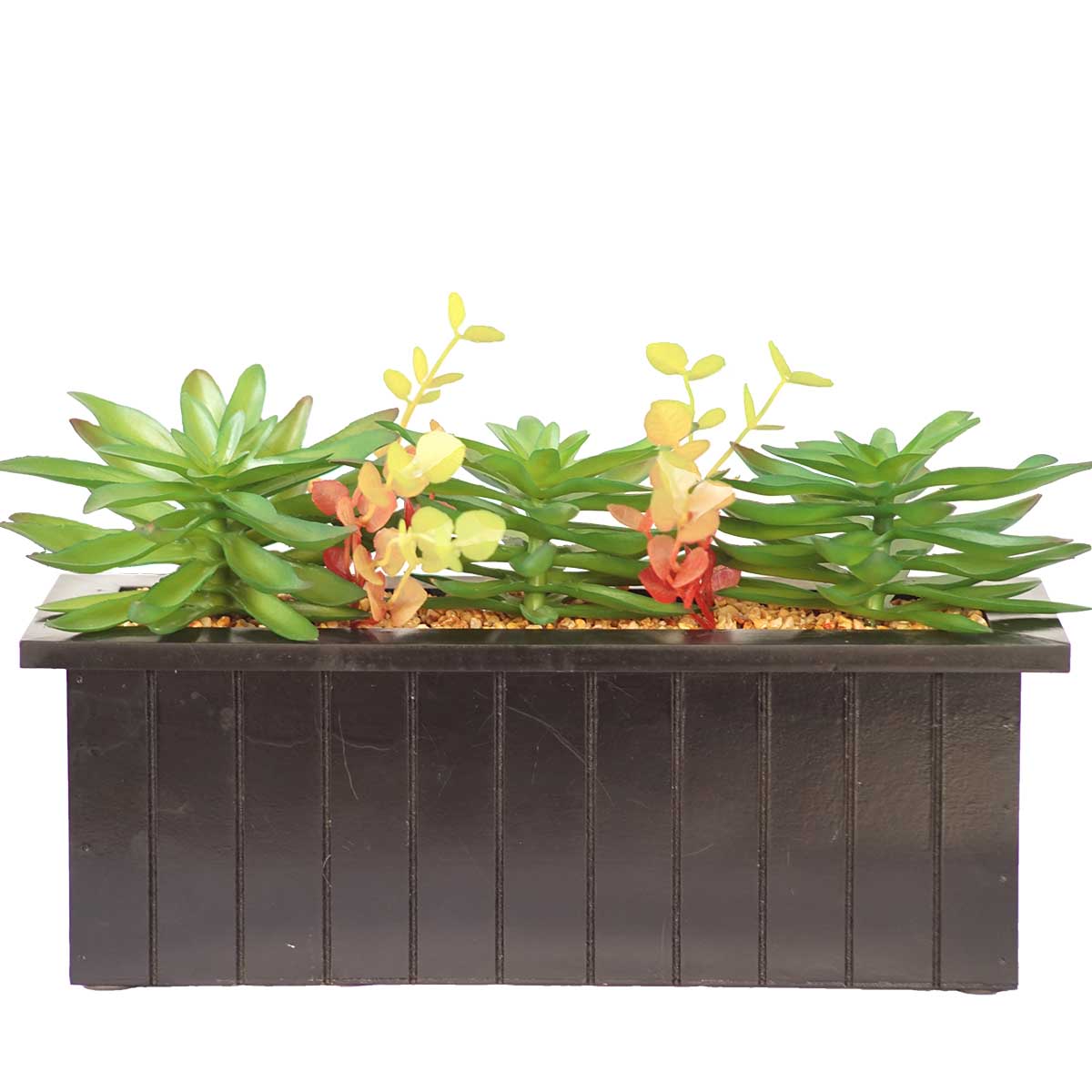 Vha102476 Succulents In Wooden Pot