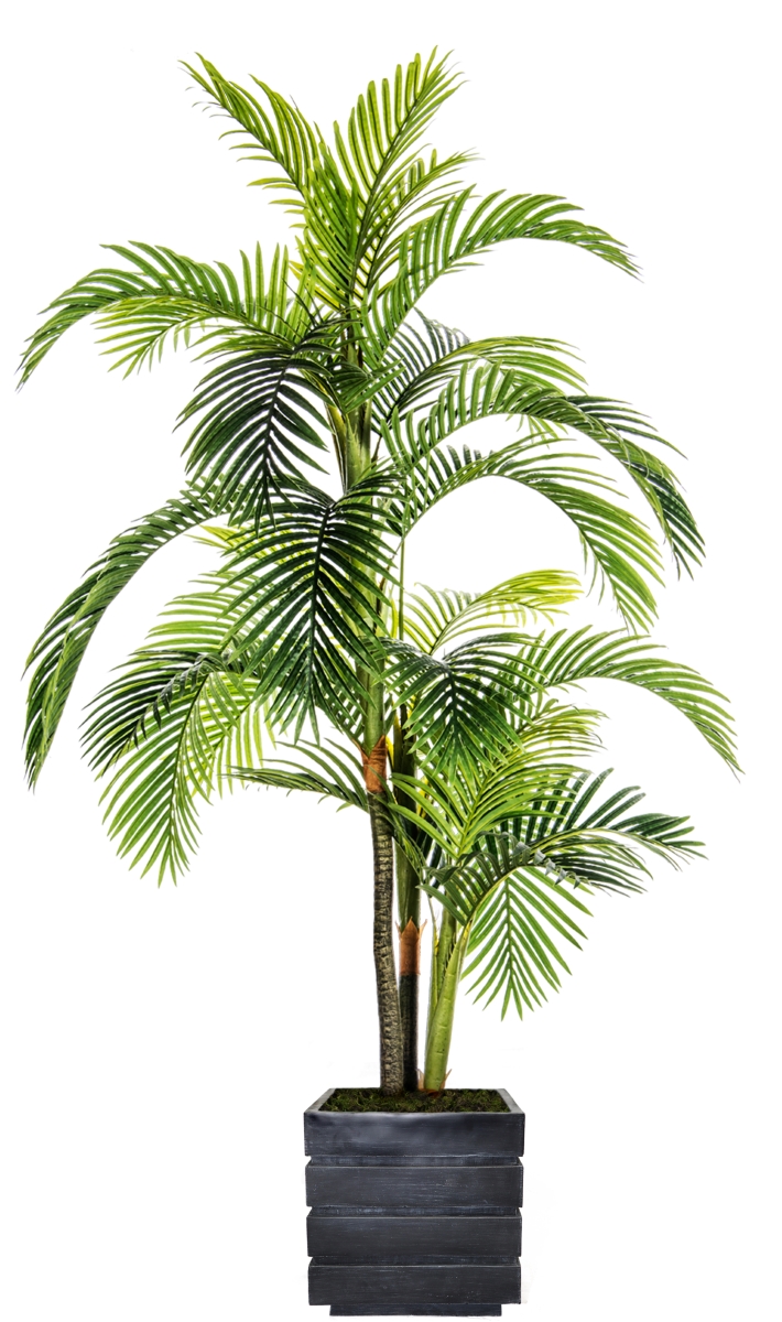 Vhx124204 90 In. Tall Palm Tree In Fiberstone Pot