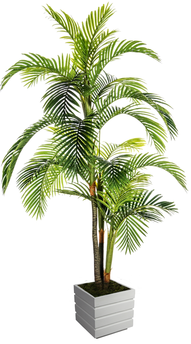 Vhx124211 90 In. Tall Palm Tree In Fiberstone Pot