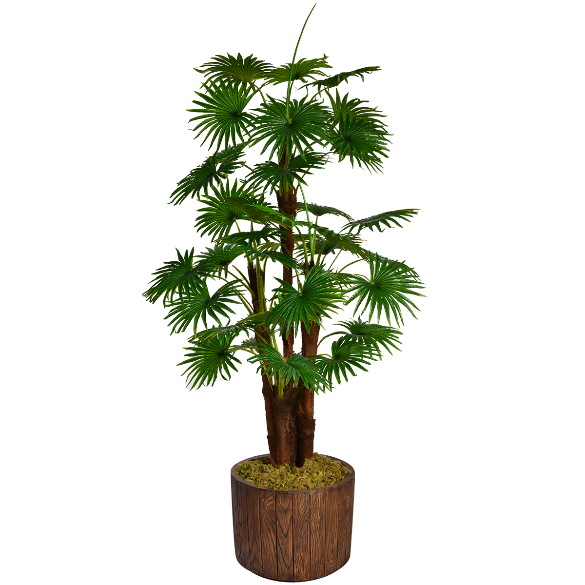 Vhx129202 70.8 In. Tall Fan Palm Tree, Burlap Kit & Fiberstone Planter