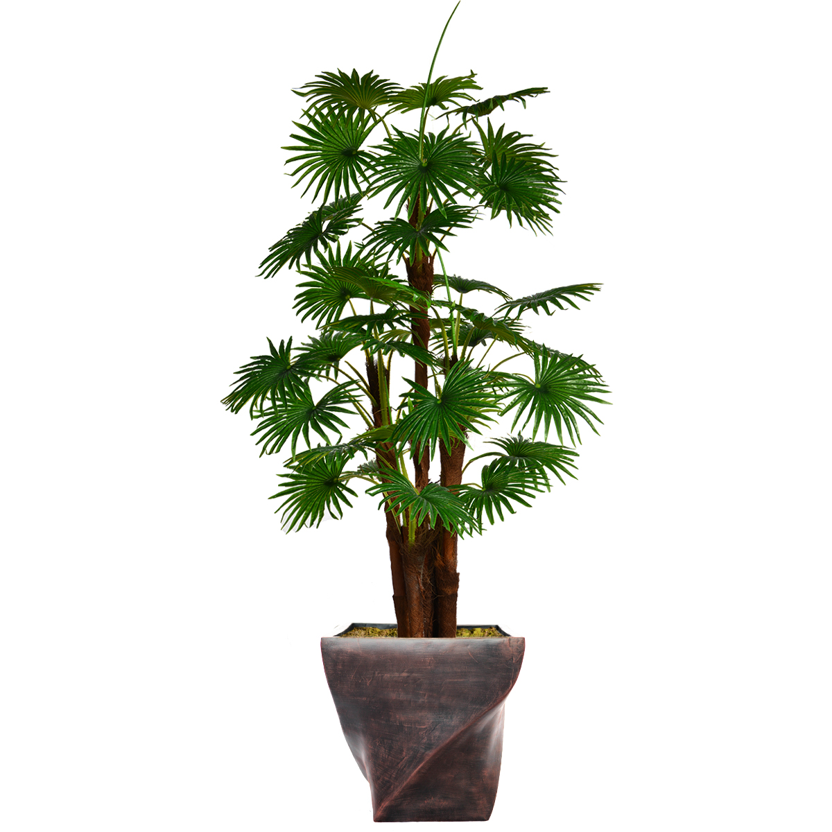 Vhx129203 75.5 In. Tall Fan Palm Tree, Burlap Kit & Fiberstone Planter