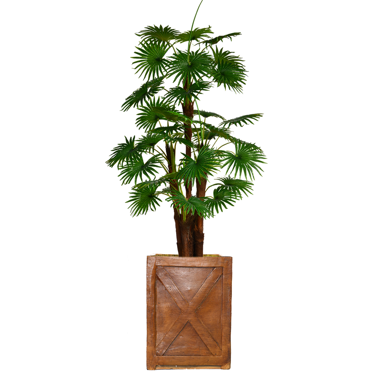 Vhx129207 75 In. Tall Fan Palm Tree, Burlap Kit & Fiberstone Planter